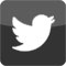 Follow Us on Twitter